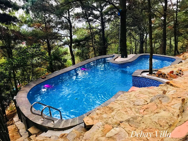 Debay Villa S&oacute;c Sơn 13