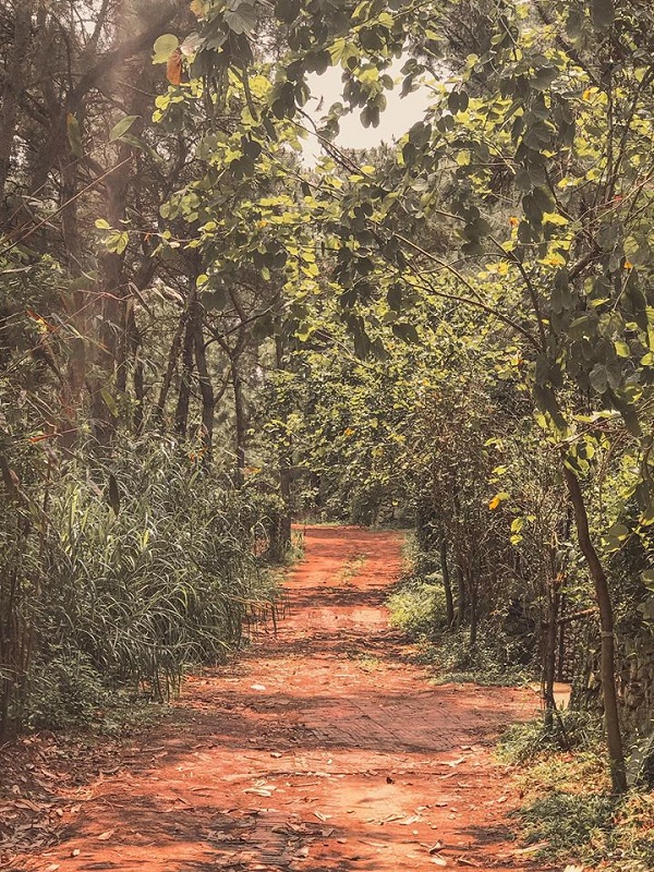 Debay Villa S&oacute;c Sơn 2