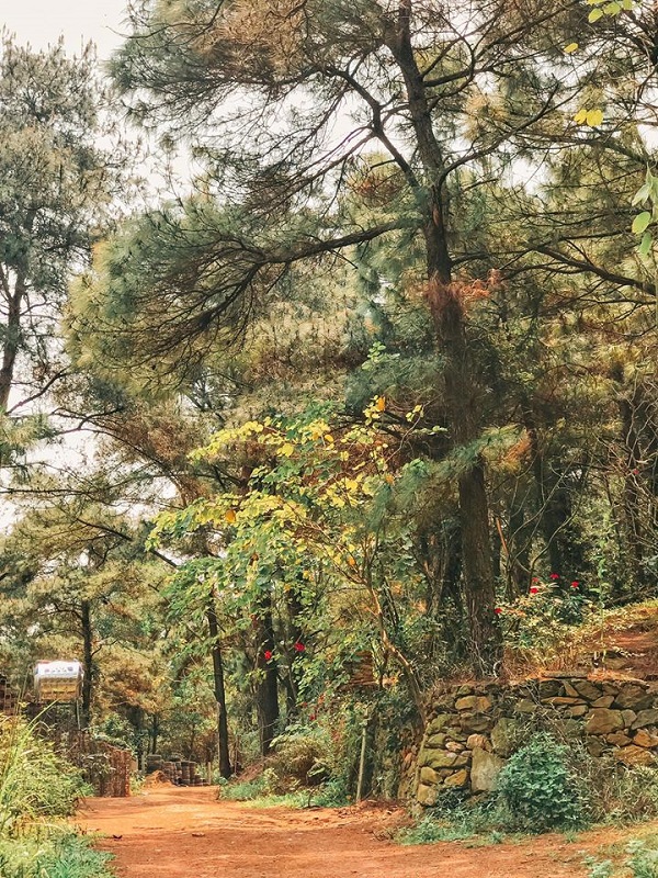 Debay Villa S&oacute;c Sơn