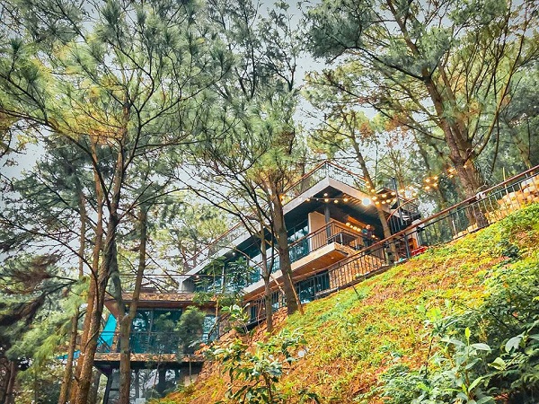 Debay Villa S&oacute;c Sơn 2