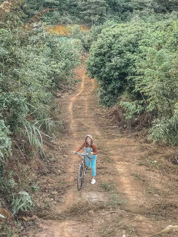 Island House S&oacute;c Sơn 1