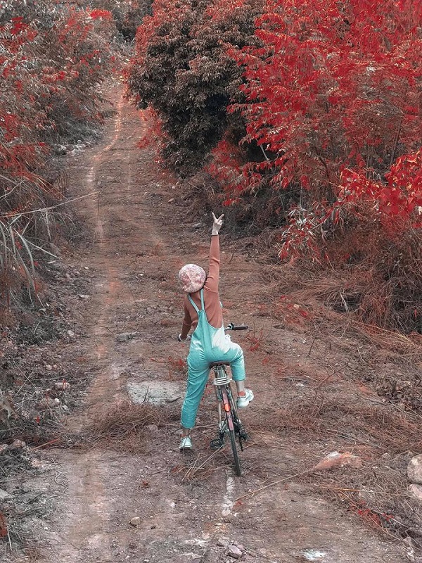 Island House S&oacute;c Sơn