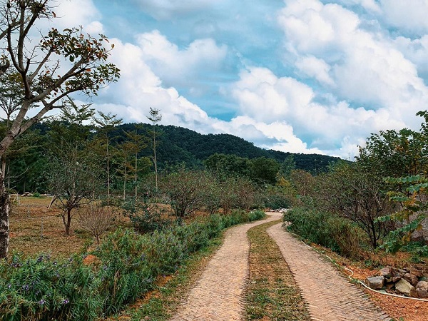 Lee Garden Villa S&oacute;c Sơn