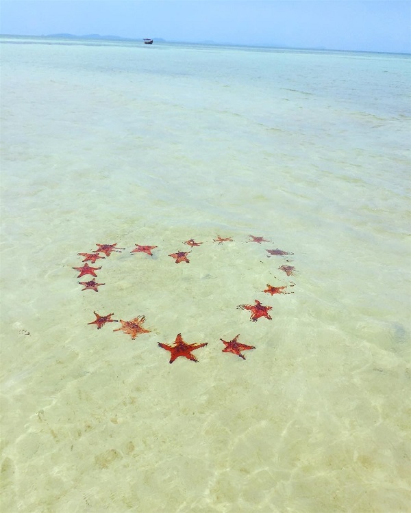 b&atilde;i tắm sao biển