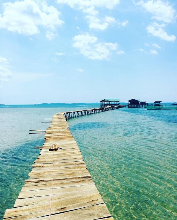 c&acirc;y cầu sống ảo ph&uacute; quốc