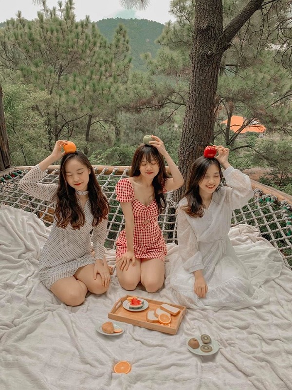 Quả Th&ocirc;ng Lớn House - Ulesa