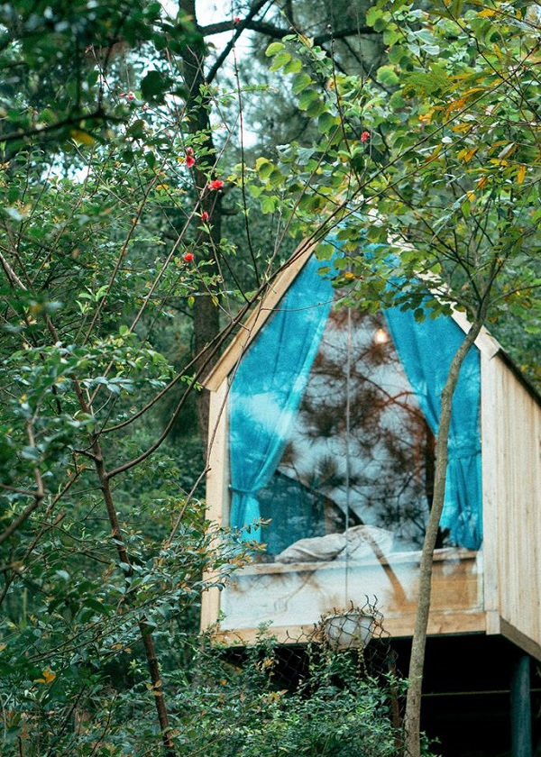 Nha Go Rung Thong - U Lesa