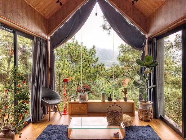 Quả Th&ocirc;ng Lớn House - Ulesa