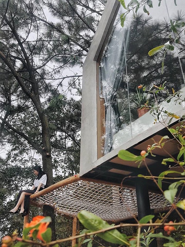 Quả Th&ocirc;ng Lớn House - Ulesa