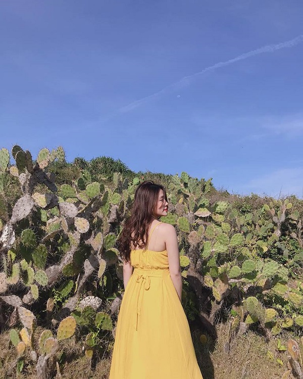 Bai xep-review quy nhon 1