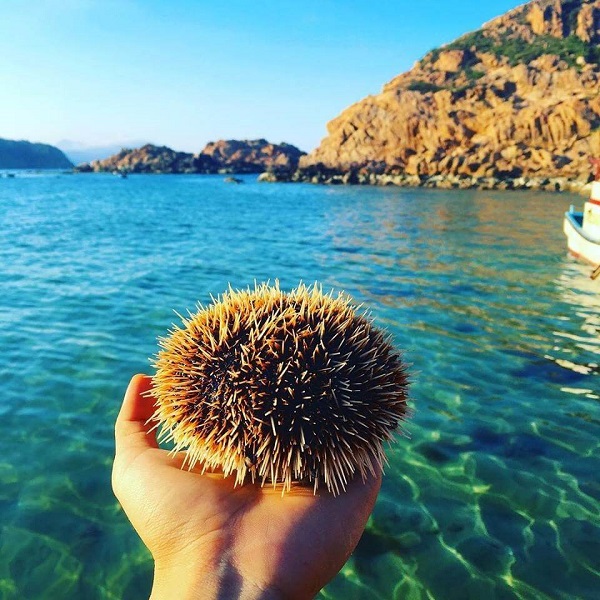cau-gai-hon kho quy nhon