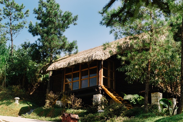 Bungalow Mountain View