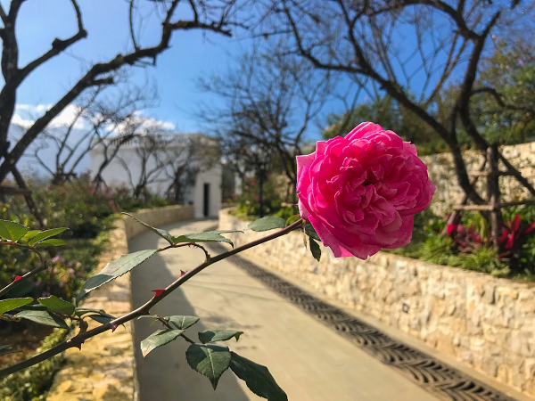 garden silk path sapa resort