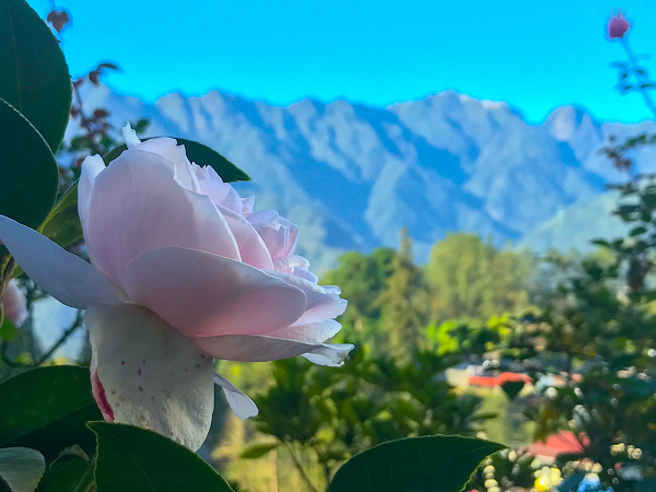 balcony phòng khách sạn
