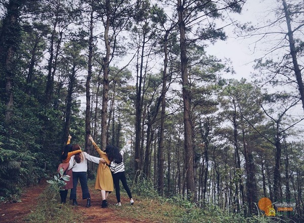 The Chipmunk Villa S&oacute;c Sơn 1