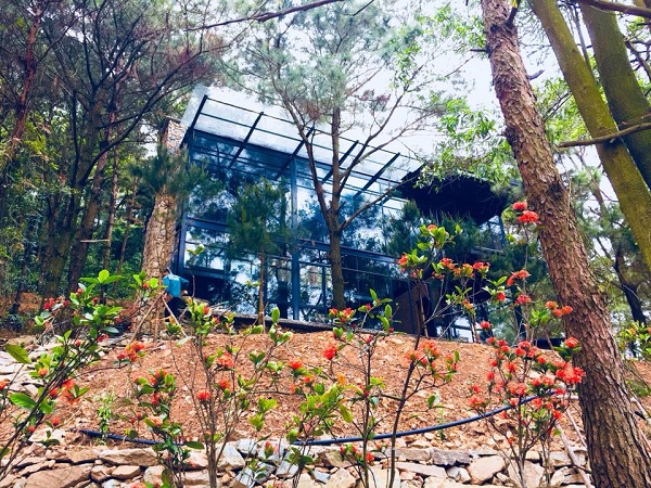 The Choai Villa S&oacute;c Sơn 5