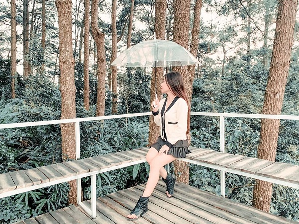 the_luciola_villa_tam_dao 18