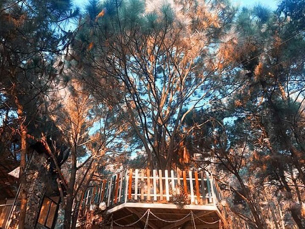 The Moonlight Villa S&oacute;c Sơn 6