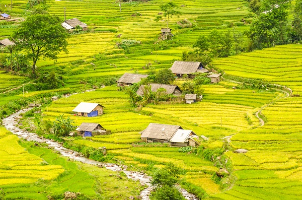 bản Lao chải Tả Van Sapa