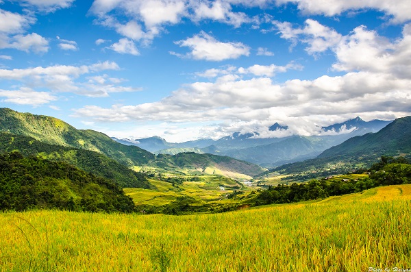 kinh nghiệm du lịch Sapa từ a-z