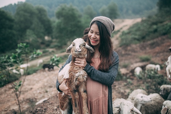 nông trại cừu yên thành nghệ an