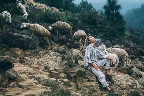 n&ocirc;ng trại cừu y&ecirc;n th&agrave;nh nghệ an