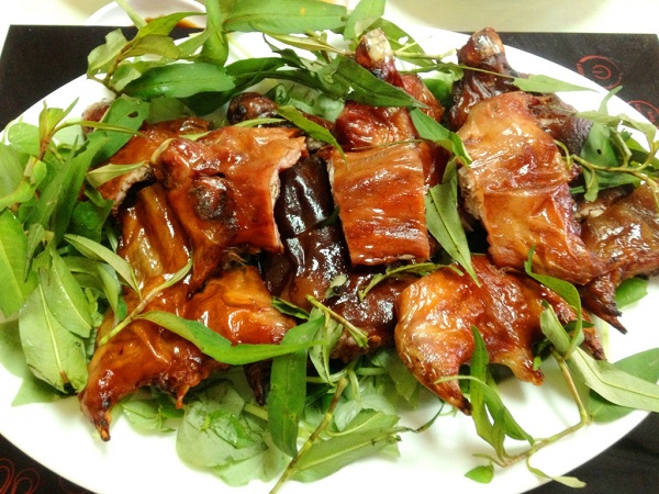 nông trại cừu yên thành nghệ an