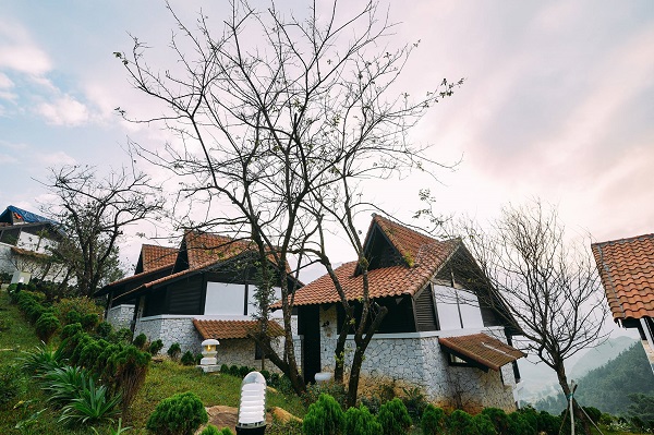 Sapa Jade Hill Resort-biet thu thung lung muong hoa